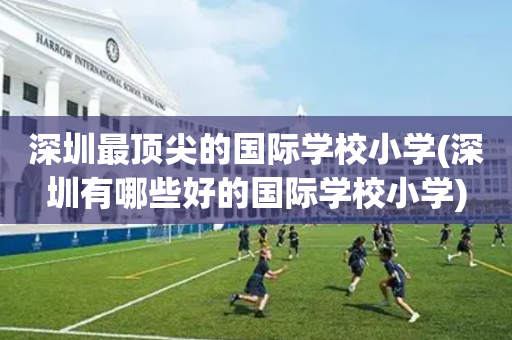 深圳最顶尖的国际学校小学(深圳有哪些好的国际学校小学)