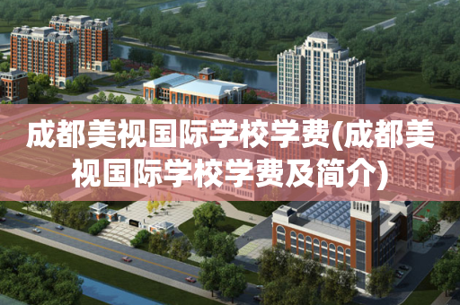 成都美视国际学校学费(成都美视国际学校学费及简介)