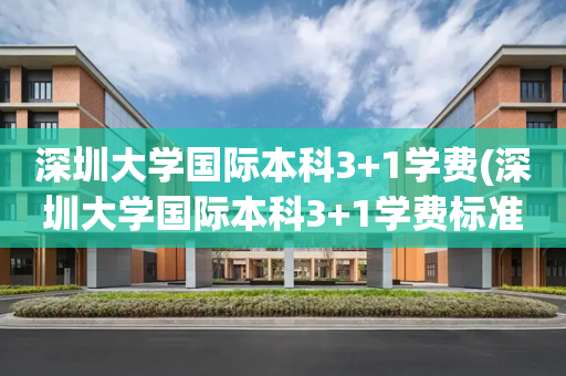 深圳大学国际本科3+1学费(深圳大学国际本科3+1学费标准)