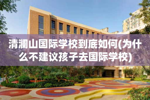 清澜山国际学校到底如何(为什么不建议孩子去国际学校)