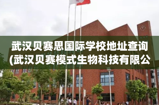 武汉贝赛思国际学校地址查询(武汉贝赛模式生物科技有限公司)