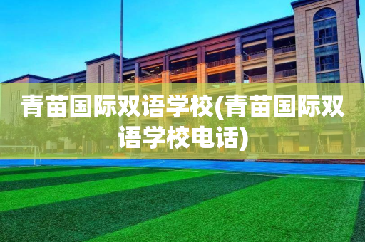 青苗国际双语学校(青苗国际双语学校电话)