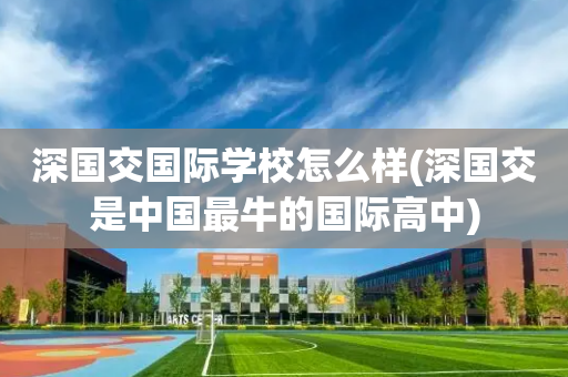深国交国际学校怎么样(深国交是中国最牛的国际高中)