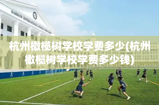 杭州橄榄树学校学费多少(杭州橄榄树学校学费多少钱)