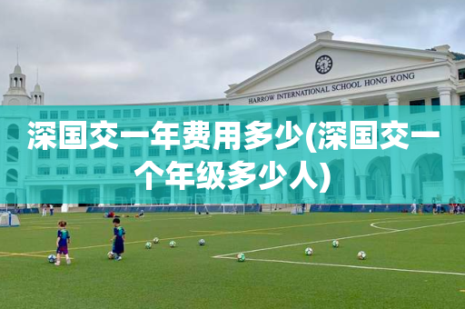 深国交一年费用多少(深国交一个年级多少人)