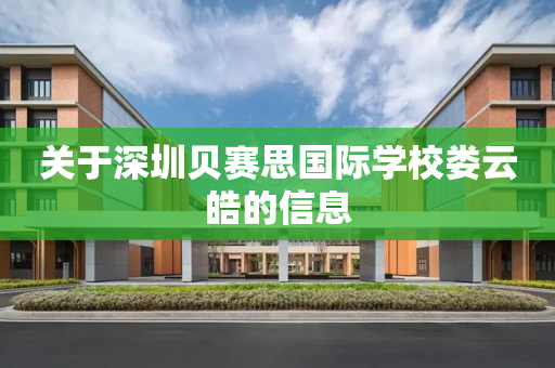 关于深圳贝赛思国际学校娄云皓的信息