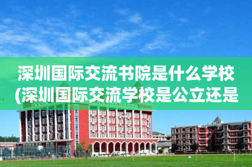 深圳国际交流书院是什么学校(深圳国际交流学校是公立还是私立)