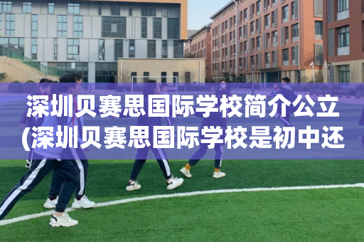 深圳贝赛思国际学校简介公立(深圳贝赛思国际学校是初中还是高中)