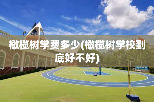 橄榄树学费多少(橄榄树学校到底好不好)