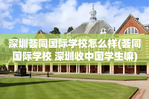 深圳荟同国际学校怎么样(荟同国际学校 深圳收中国学生嘛)