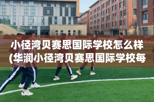 小径湾贝赛思国际学校怎么样(华润小径湾贝赛思国际学校每年费用)
