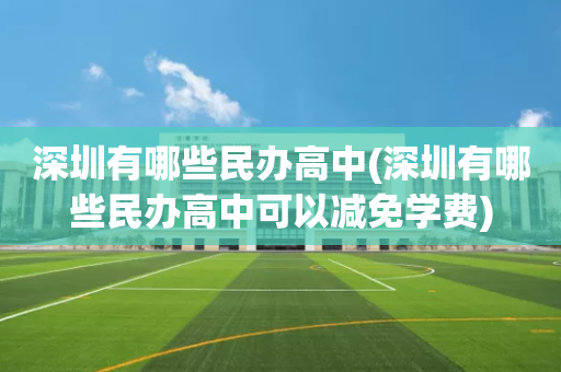 深圳有哪些民办高中(深圳有哪些民办高中可以减免学费)