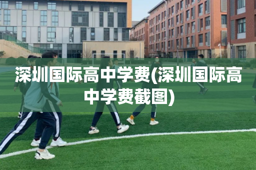 深圳国际高中学费(深圳国际高中学费截图)