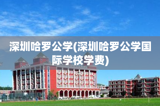 深圳哈罗公学(深圳哈罗公学国际学校学费)