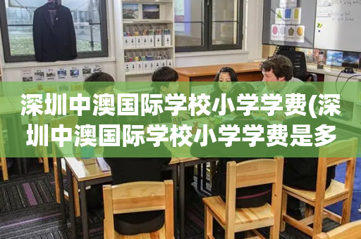 深圳中澳国际学校小学学费(深圳中澳国际学校小学学费是多少)