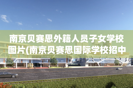 南京贝赛思外籍人员子女学校图片(南京贝赛思国际学校招中国籍孩子么)