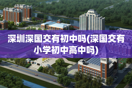 深圳深国交有初中吗(深国交有小学初中高中吗)
