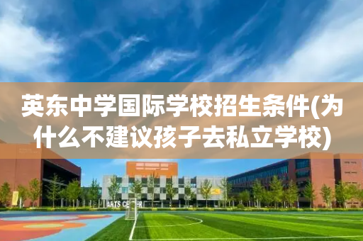 英东中学国际学校招生条件(为什么不建议孩子去私立学校)