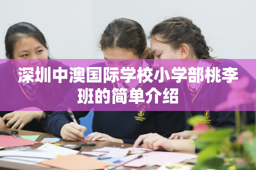 深圳中澳国际学校小学部桃李班的简单介绍