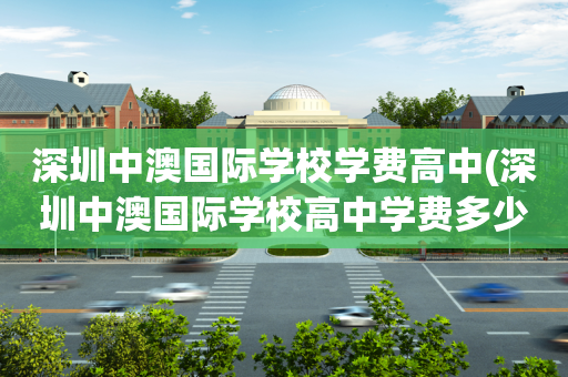 深圳中澳国际学校学费高中(深圳中澳国际学校高中学费多少)