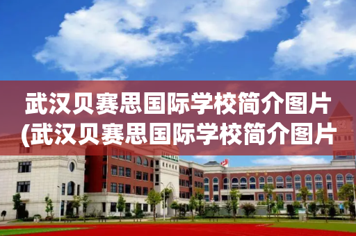 武汉贝赛思国际学校简介图片(武汉贝赛思国际学校简介图片大全)