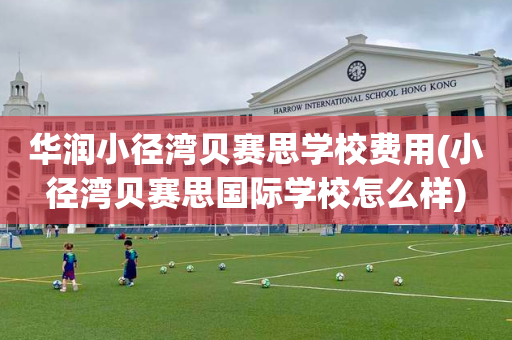 华润小径湾贝赛思学校费用(小径湾贝赛思国际学校怎么样)