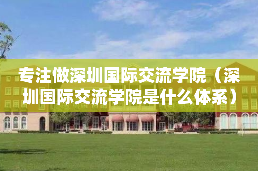 专注做深圳国际交流学院（深圳国际交流学院是什么体系）