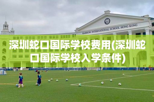 深圳蛇口国际学校费用(深圳蛇口国际学校入学条件)