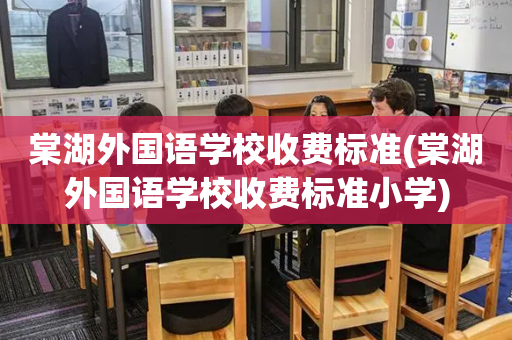 棠湖外国语学校收费标准(棠湖外国语学校收费标准小学)