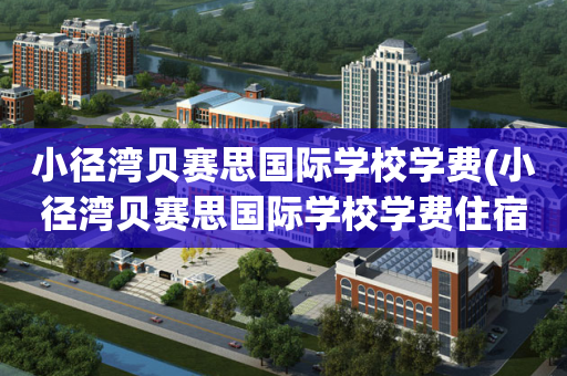 小径湾贝赛思国际学校学费(小径湾贝赛思国际学校学费住宿费是多少)