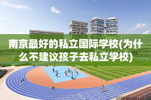 南京最好的私立国际学校(为什么不建议孩子去私立学校)