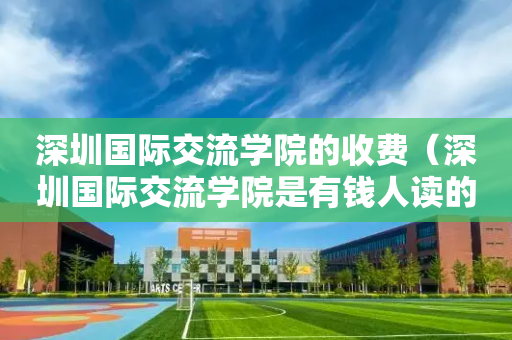 深圳国际交流学院的收费（深圳国际交流学院是有钱人读的吗）
