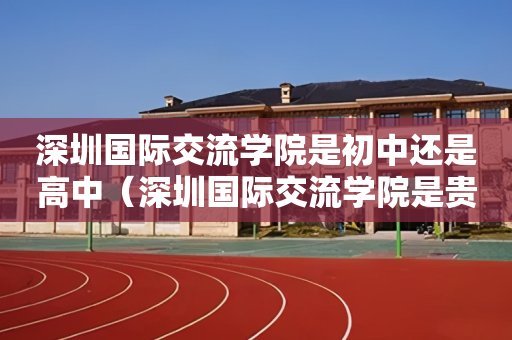深圳国际交流学院是初中还是高中（深圳国际交流学院是贵族学校吗）