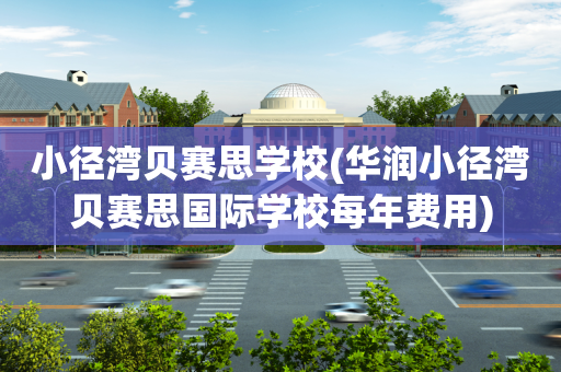 小径湾贝赛思学校(华润小径湾贝赛思国际学校每年费用)