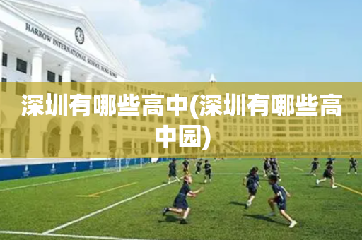深圳有哪些高中(深圳有哪些高中园)