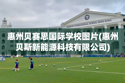 惠州贝赛思国际学校图片(惠州贝斯新能源科技有限公司)