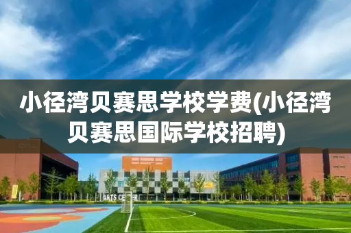 小径湾贝赛思学校学费(小径湾贝赛思国际学校招聘)