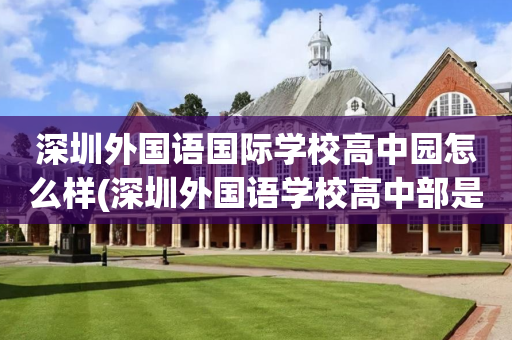 深圳外国语国际学校高中园怎么样(深圳外国语学校高中部是公立还是私立学校)