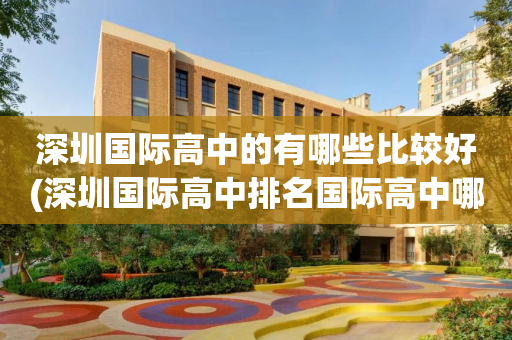 深圳国际高中的有哪些比较好(深圳国际高中排名国际高中哪所好)
