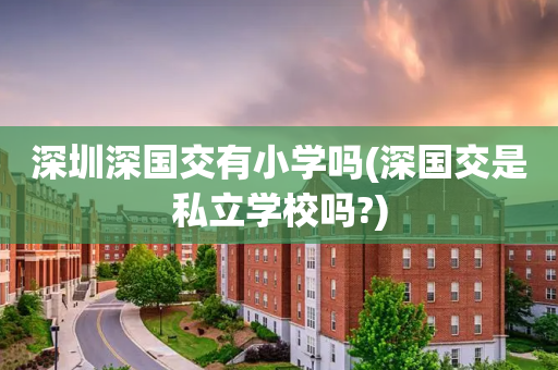 深圳深国交有小学吗(深国交是私立学校吗?)