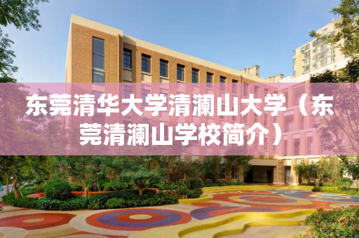 东莞清华大学清澜山大学（东莞清澜山学校简介）