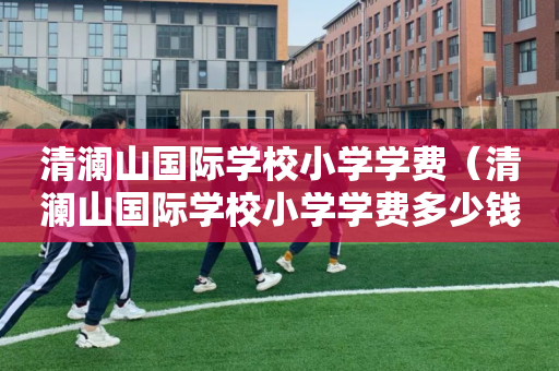 清澜山国际学校小学学费（清澜山国际学校小学学费多少钱）