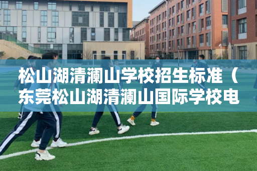 松山湖清澜山学校招生标准（东莞松山湖清澜山国际学校电话小学部电话）