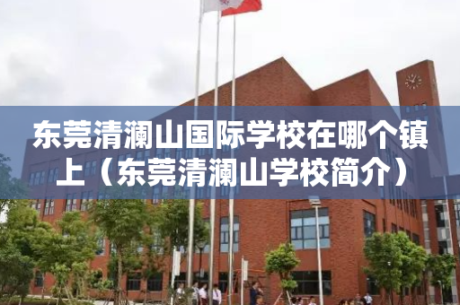 东莞清澜山国际学校在哪个镇上（东莞清澜山学校简介）