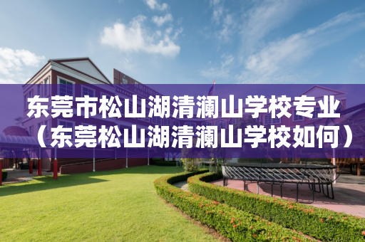 东莞市松山湖清澜山学校专业（东莞松山湖清澜山学校如何）