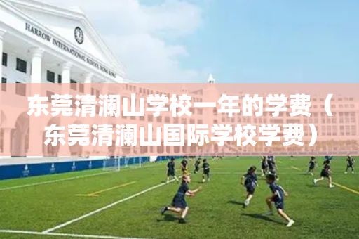 东莞清澜山学校一年的学费（东莞清澜山国际学校学费）