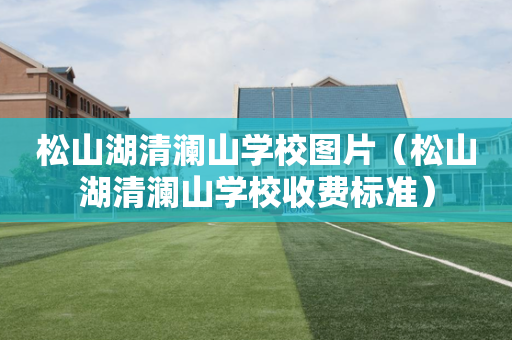 松山湖清澜山学校图片（松山湖清澜山学校收费标准）