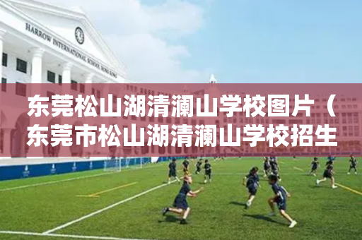 东莞松山湖清澜山学校图片（东莞市松山湖清澜山学校招生电话号码）