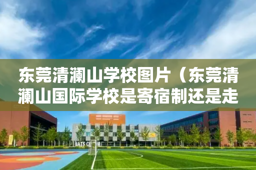 东莞清澜山学校图片（东莞清澜山国际学校是寄宿制还是走读也可以）