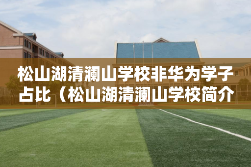 松山湖清澜山学校非华为学子占比（松山湖清澜山学校简介）